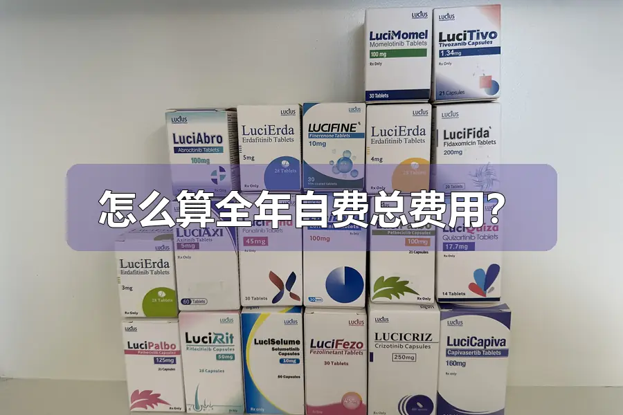 怎么算全年自费总费用?